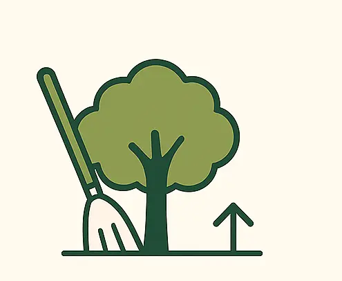 Tree Crown Cleaning Icon Showing A Rake Beside A Trimmed Tree, Representing Dead Branch Removal And Tree Maintenance.