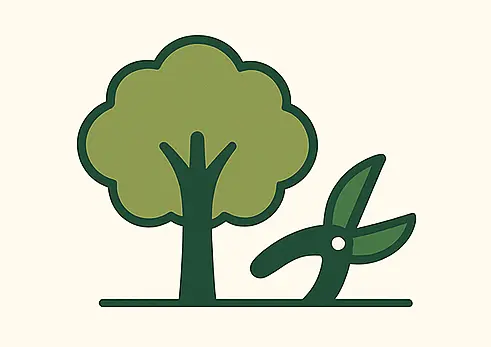 Tree Crown Reduction Icon Showing Shorter Branch Tips To Reduce Tree Size And Maintain Shape.
