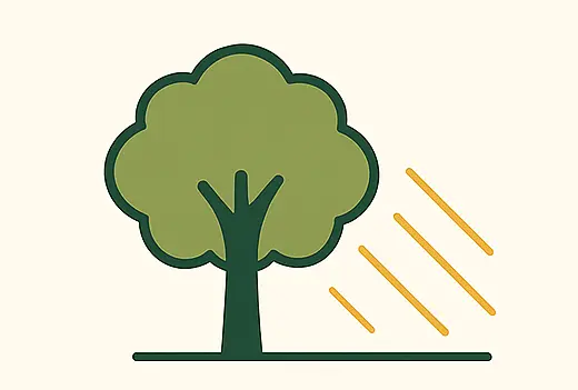Crown Thinning