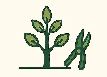 Formative Pruning Icon Showing A Young Tree Being Shaped For Balanced Growth.