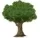 Pro Tree Service Fremont Logo
