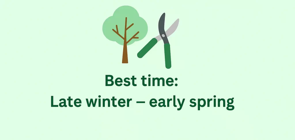 An Illustrated Seasonal Chart Showing That The Best Time To Trim Trees Is During Late Winter And Early Spring.