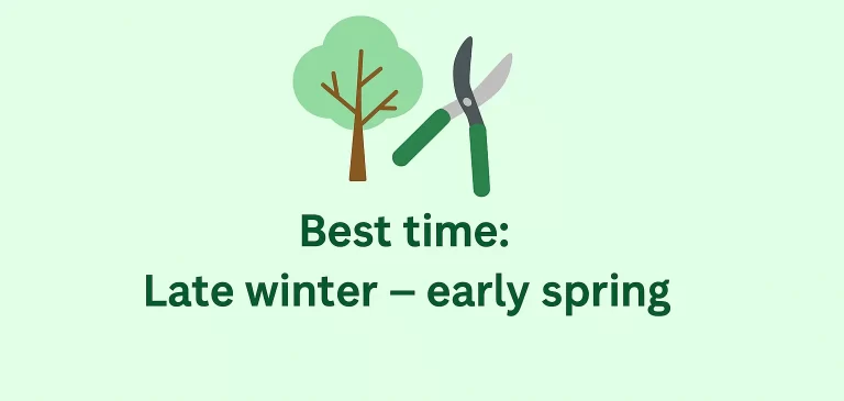 An illustrated seasonal chart showing that the best time to trim trees is during late winter and early spring.