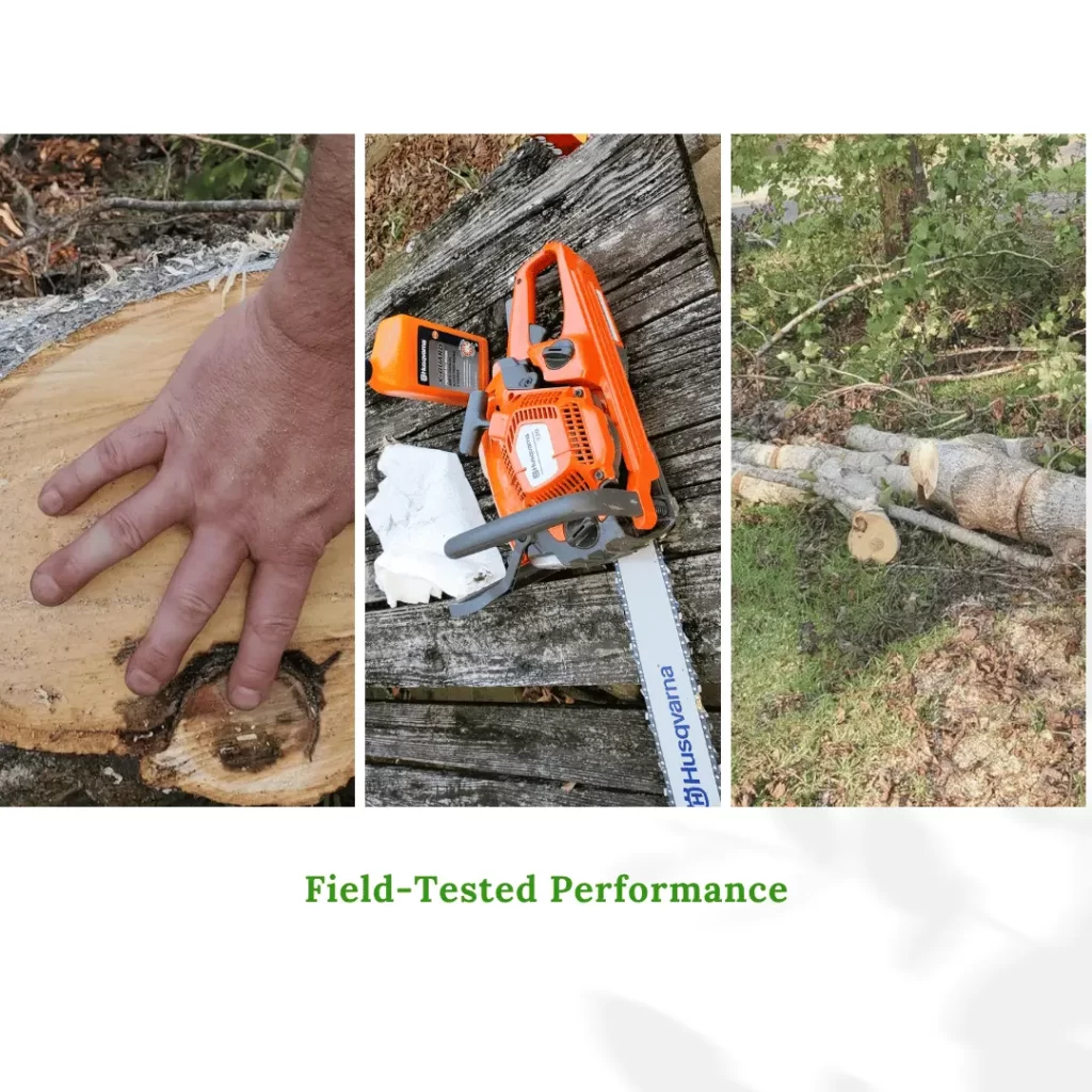 16-inch gas-powered chainsaw cutting through storm-damaged tree in real outdoor conditions.